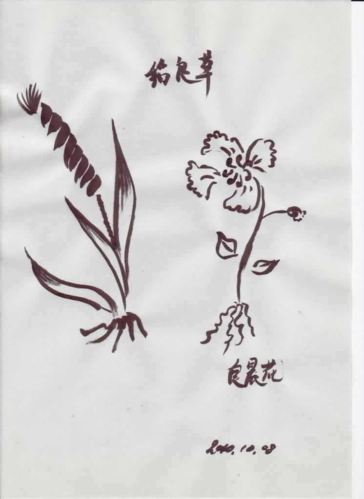 ����������������20101006